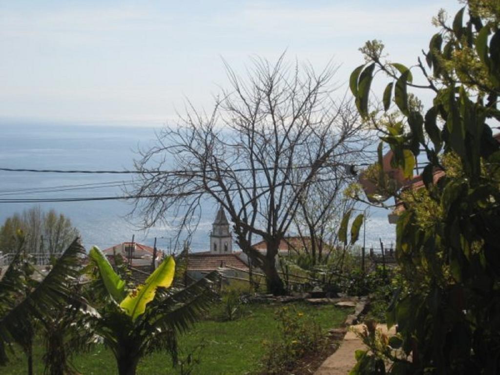 Villa Little Norway In Madeira Arco da Calheta  Exterior foto