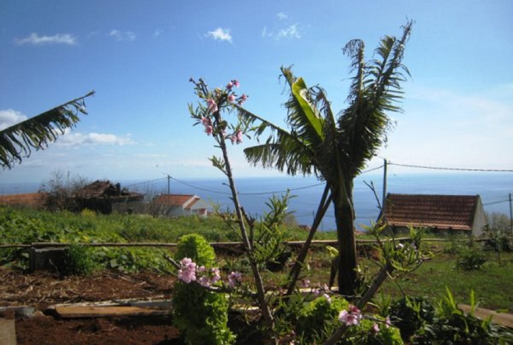 Villa Little Norway In Madeira Arco da Calheta  Exterior foto